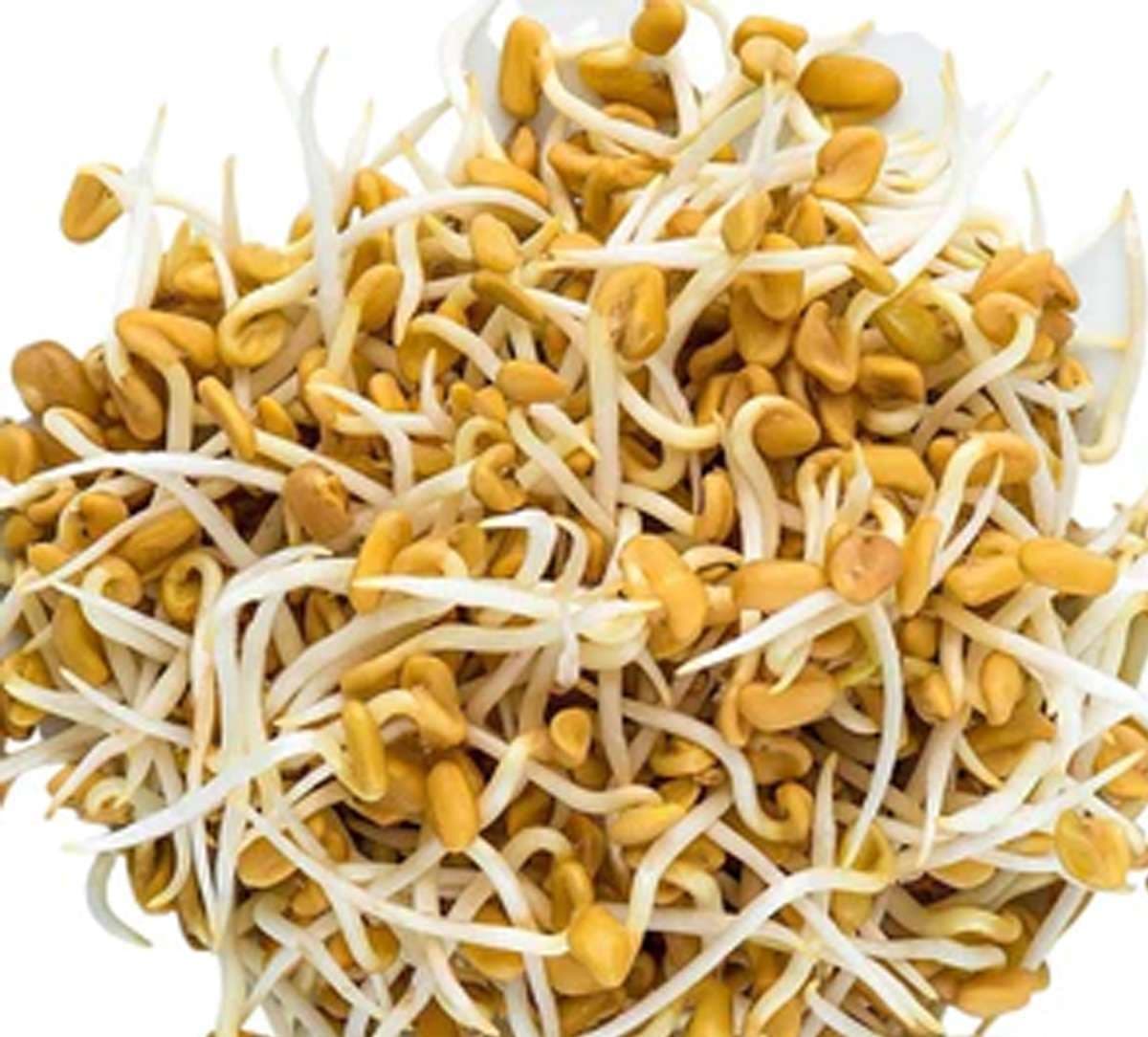 fenugreek-seeds-for-hair.jpg