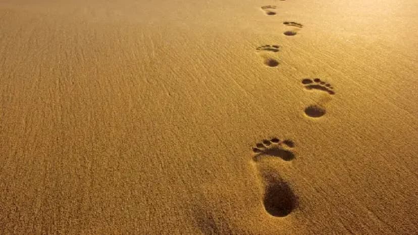 footprints_3.jpg