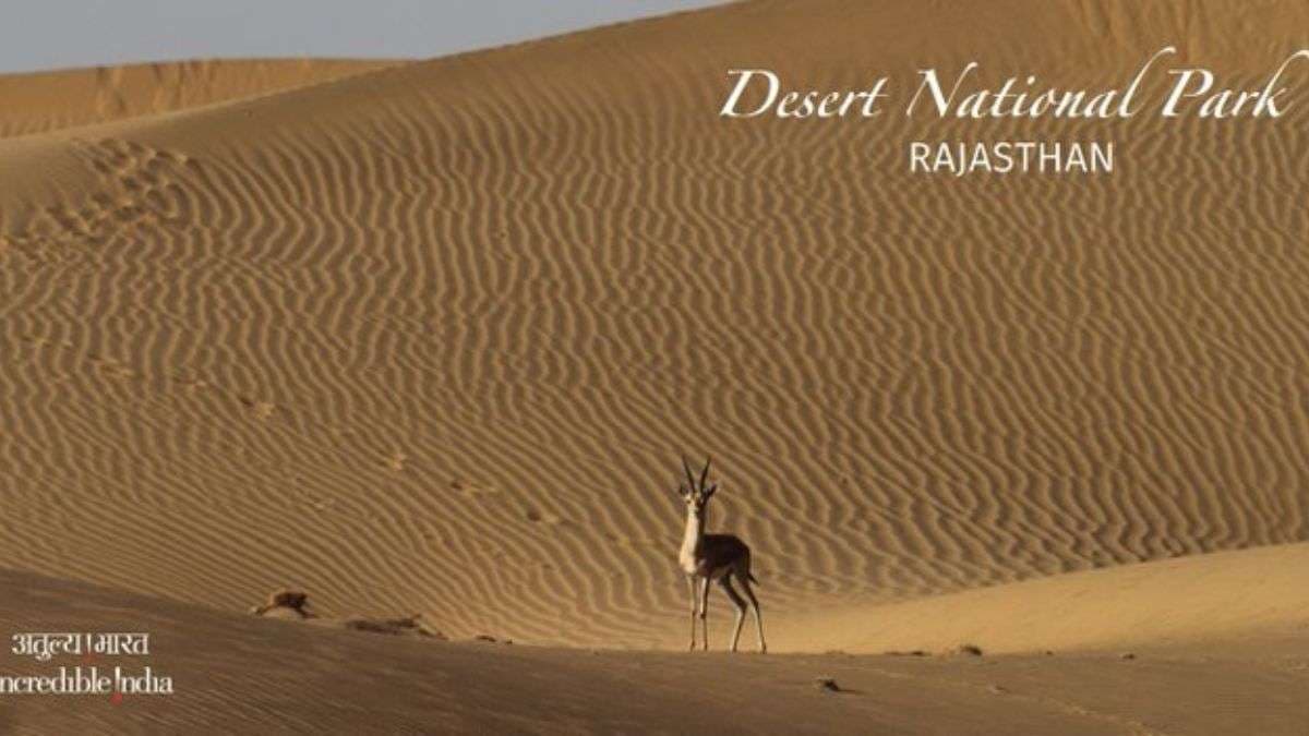 desert_national_park.jpg