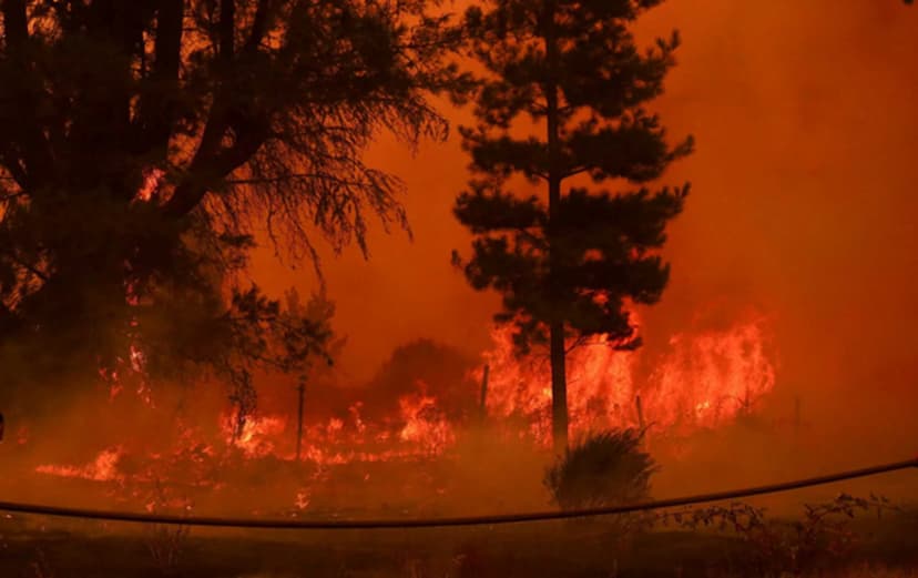 forest_fire_in_chile.jpg