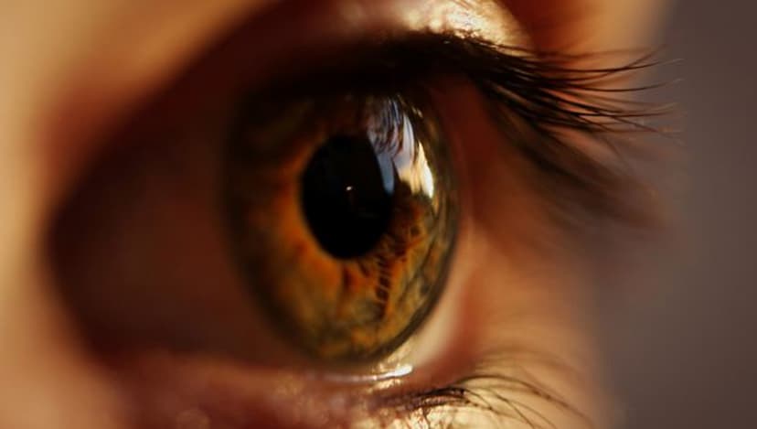 New Drug Shows Promise in Preventing Diabetic Eye and Kidney Disease