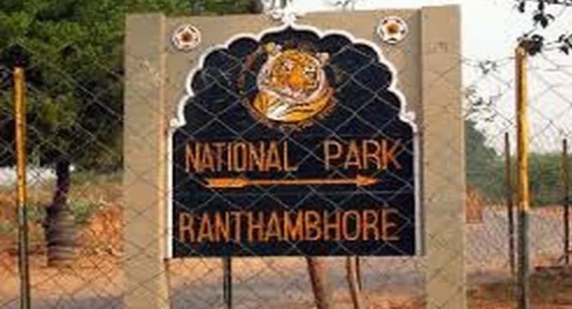 ranthambhore_park_.jpg