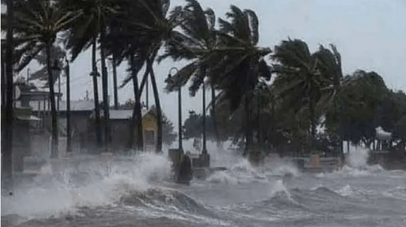 El Nino conditions weakening, raise hopes of 'bountiful monsoon' in India