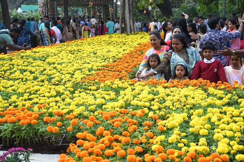 Semmozhi Poonga Flower Exhibition