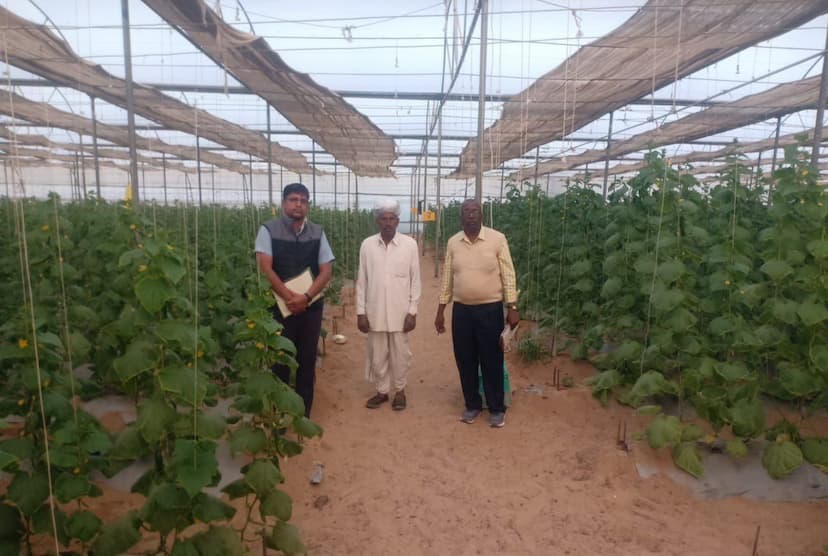 The inclination of Nagaur farmers towards horticulture is increasing