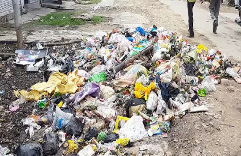 Garbage: कहां हैं आयुक्त और महापौर, शहर में फैली है गंदगी बदबू से शहरवासी परेशान, बीमारी फैलने का खतरा