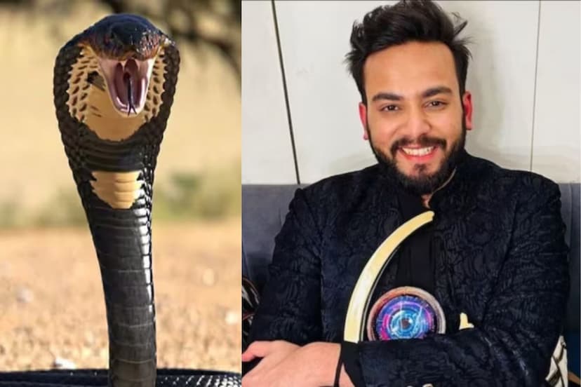 Elvish Yadav accused PFA of extortion forensic report revealed snake venom was used in rave parties