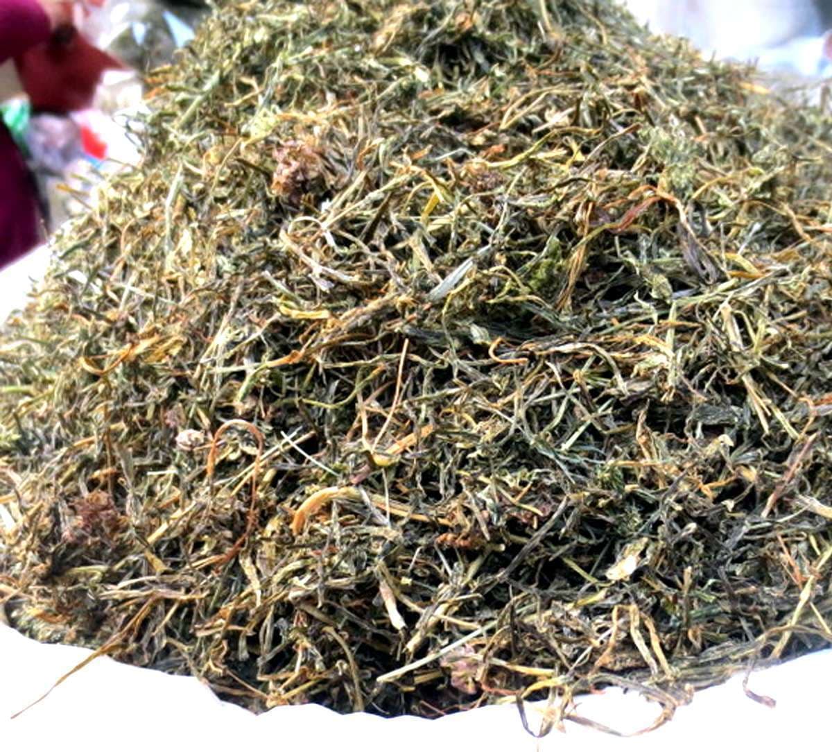 jimbu-herb-for-cholesterol.jpg