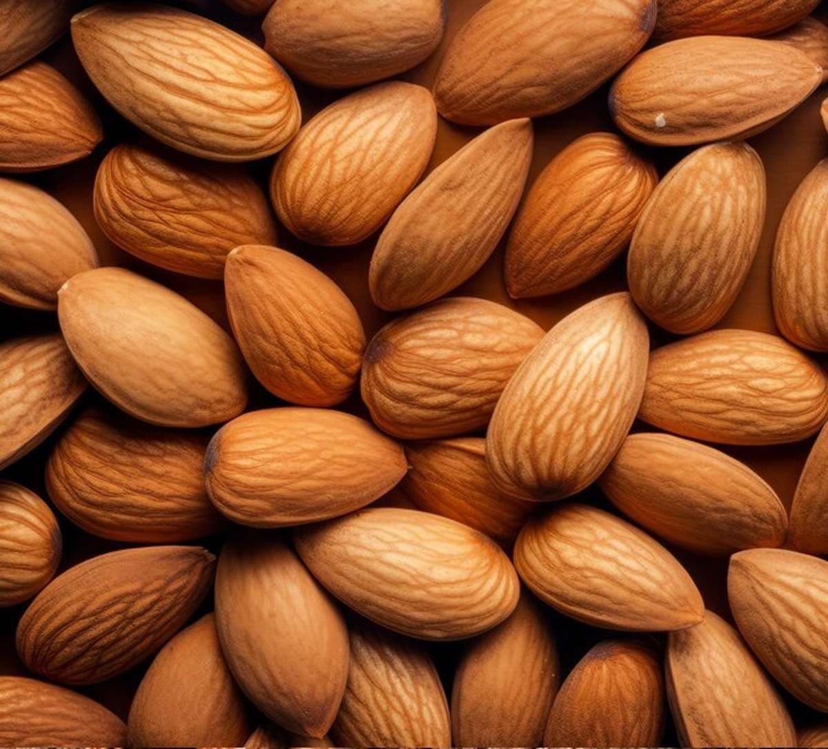 almonds-in-winter.jpg