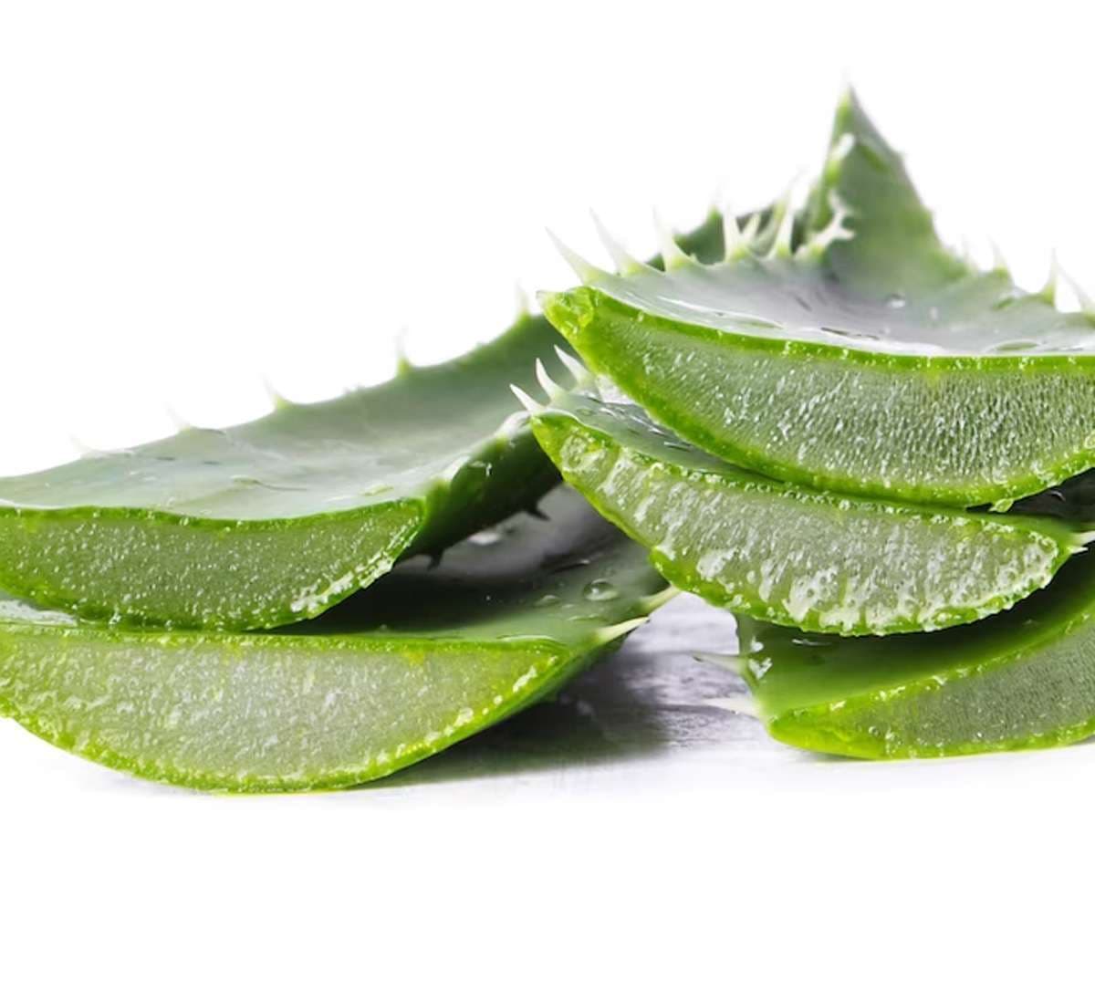 aloe-vera-for-mumps.jpg