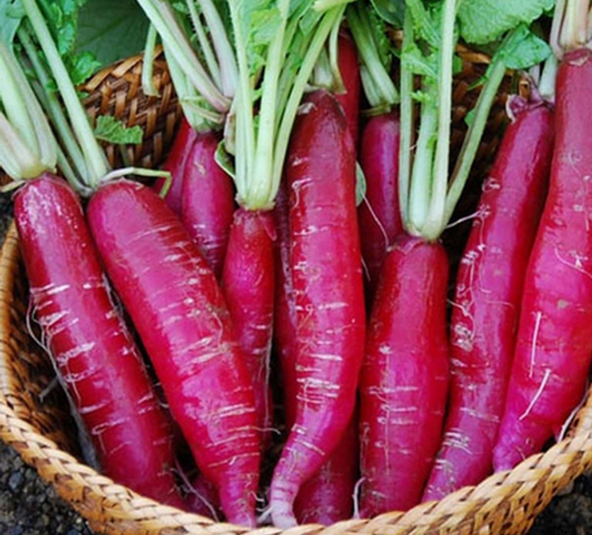 red-radish-benefits.jpg