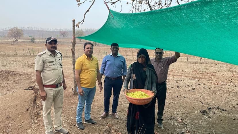 निमाड़ के महुए की विदेश में डिमांड, बन रही एनर्जी ड्रिंक