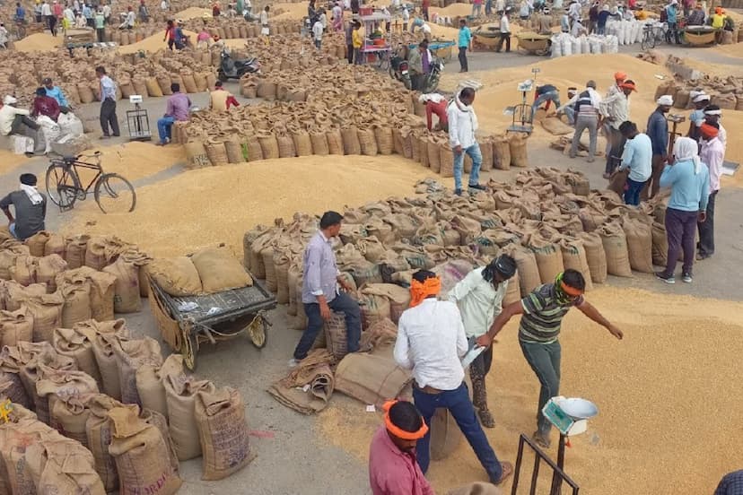 banswara_wheat_procurement.jpg