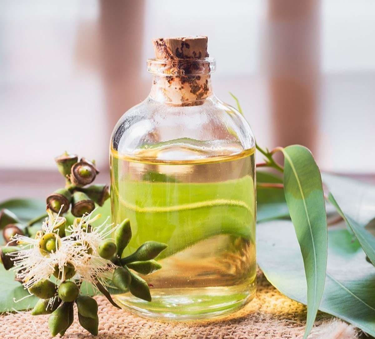 eucalyptus-oil.jpg