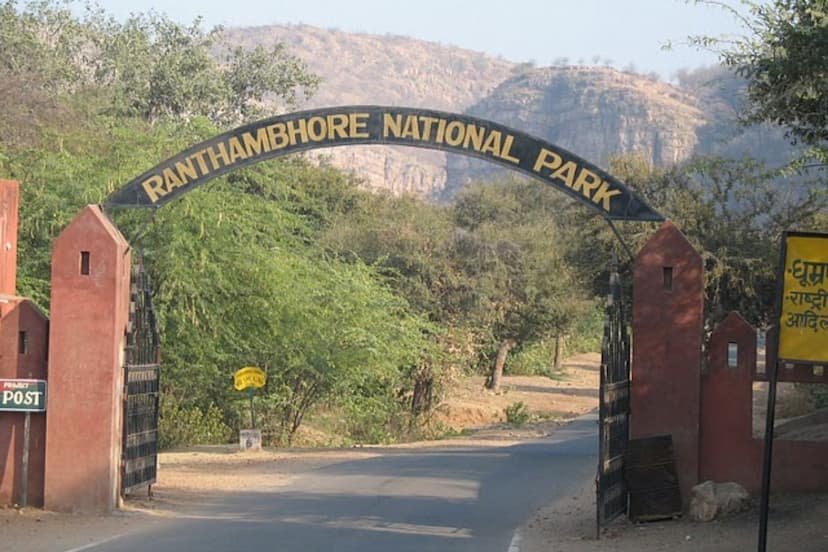 ranthambhor_park_.jpg