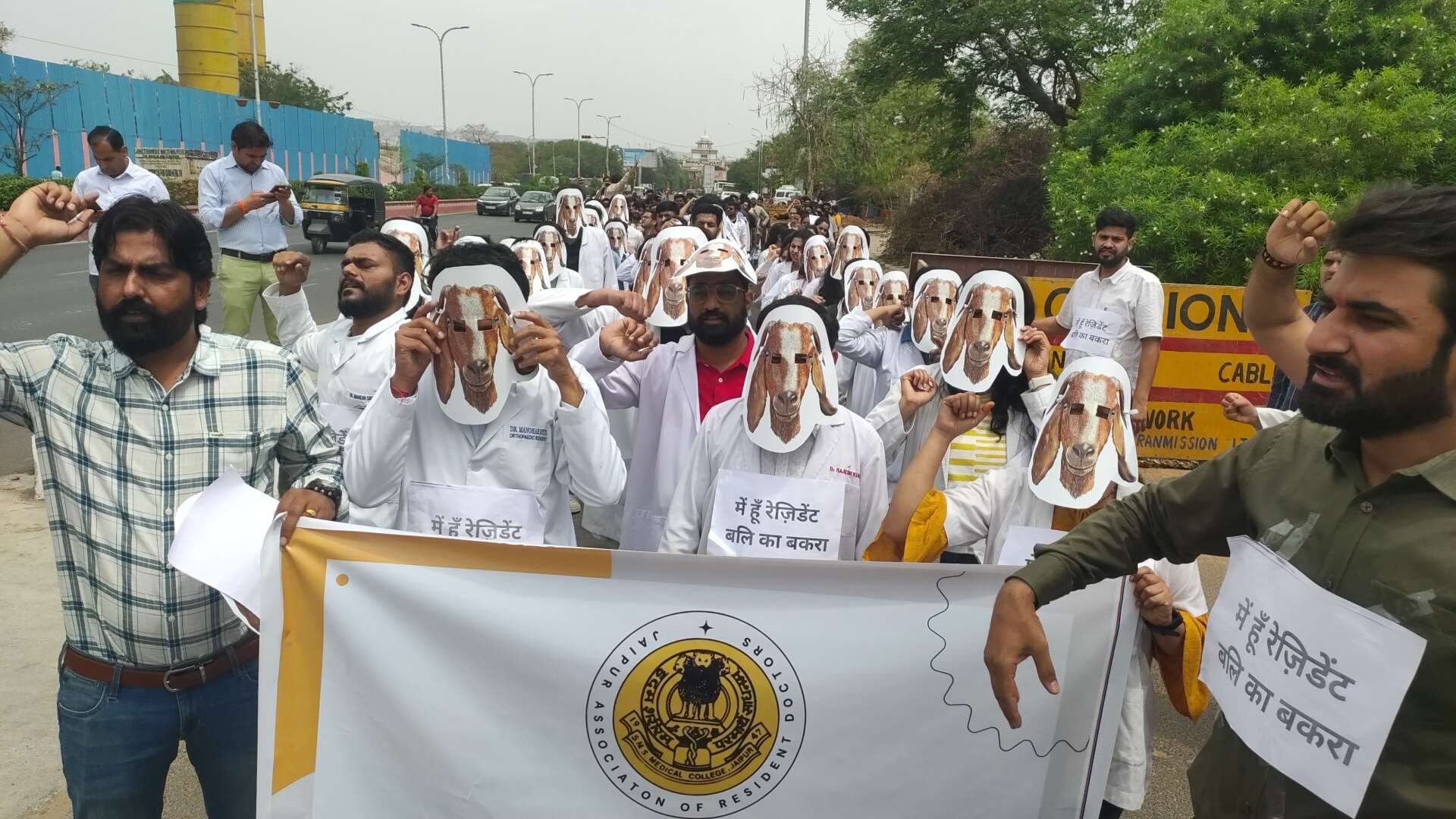Goat rally held during doctor's strike