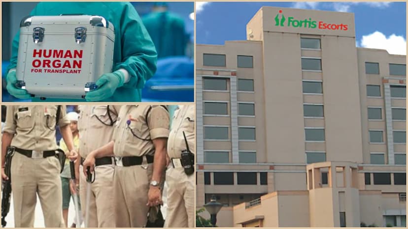 fortis hospital