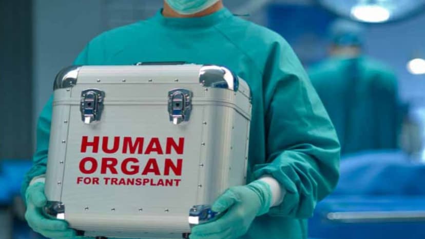 organ transplant scam