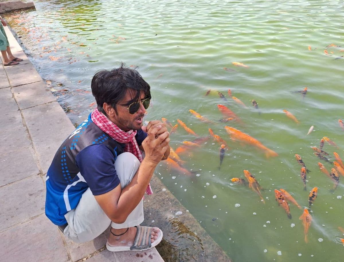 Hundreds of fish lost their breath due to lack of oxygen in Jada pond.