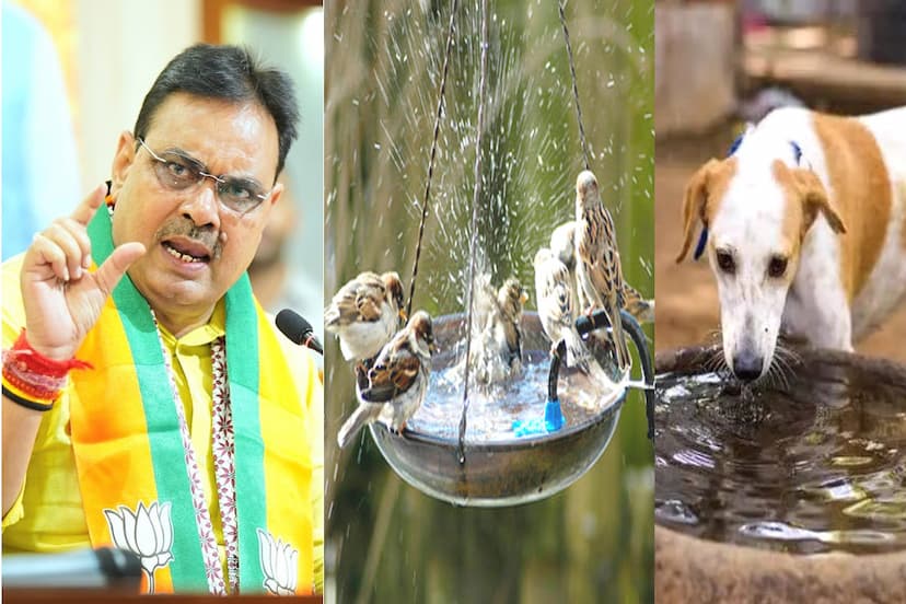 rajasthan bhajanlal government action plan to save birds and animals against heat waves and hot weather