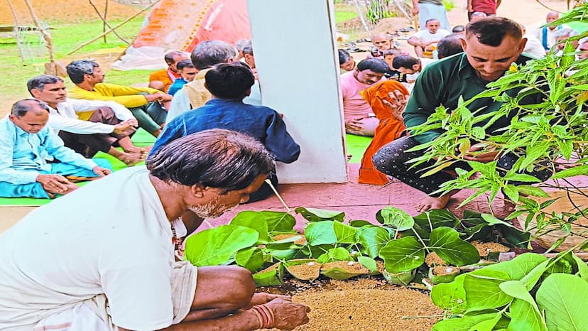 अक्षय तृतीया पर जिला मुख्यालय सहित ग्रामीण अंचलो में परम्परा अनुसार पुतरी-पुतरा का विवाह रचाया गया। वहीं किसानो ने भी गांव के ठाकुर देव में परसा (पलास) के पत्तों का दोना बनाकर धान को मां अन्नपूर्णा को अर्पित किया।