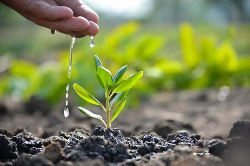 Children will plant saplings in schools of Rajasthan