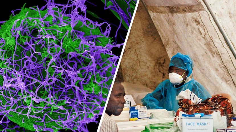 Terrifying New Ebola Variant Created in China