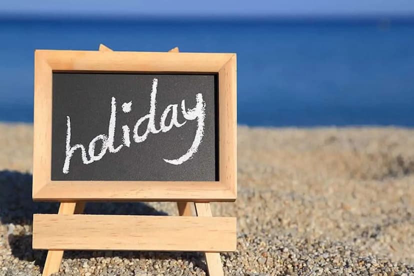 public Holiday declared on May 20