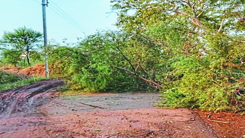 बालोद जिले में भीषण गर्मी में बारिश हो रही है। मंगलवार शाम से देर रात तक तेज आंधी-तूफान के साथ बारिश हुई। कई जगहों पर पेड़ गिरे। पेड़ तारों पर गिरने से कई गांव में बिजली देर रात तक बंद रही।