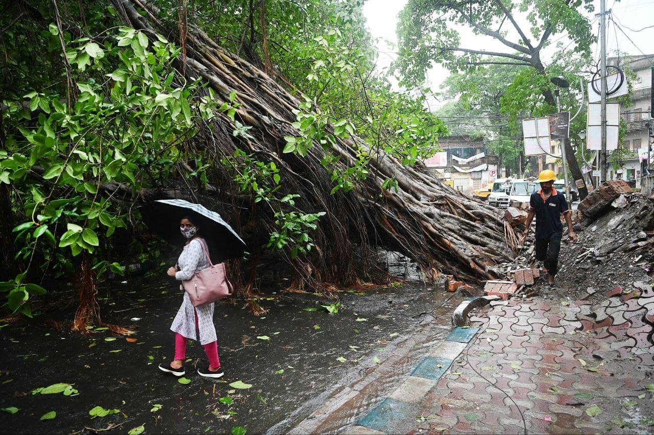 तूफान के चलते दक्षिण कोलकाता के हाजरा रोड पर गिरा पेड़। 