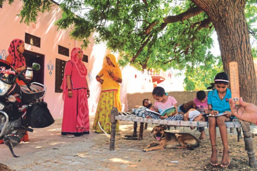 Rajasthan Ajmer Padampura village Neem trees about two and a half times more than the population