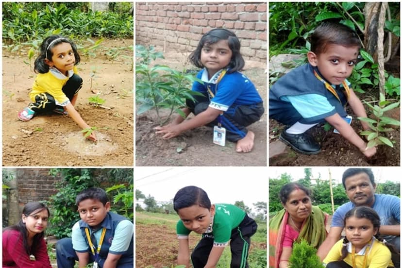 School children of rajasthan Jhalawar district Chief District Education Officer plant trees along with reading books planted from 6th to 12th