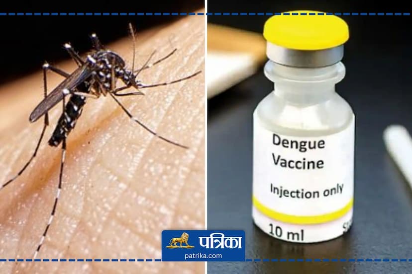 dengue vaccine tak300