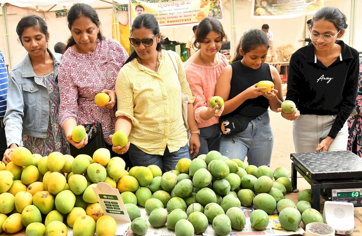 Mango and Jackfruit Mela