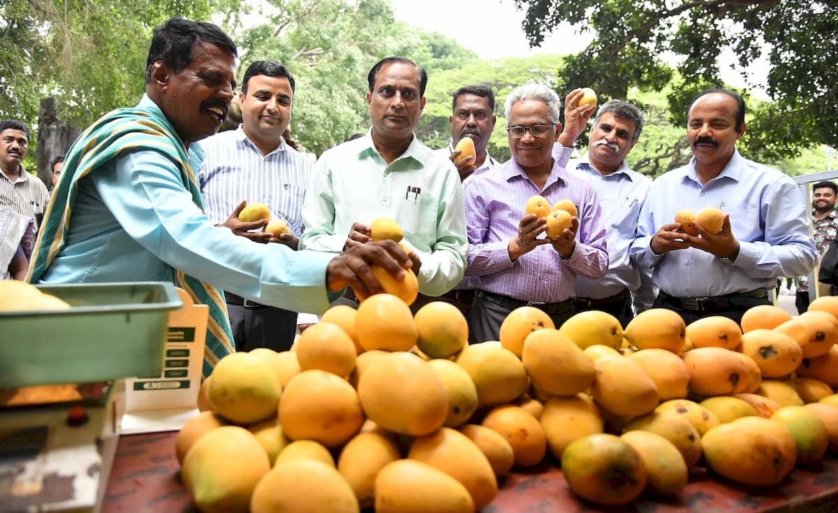 Mango and Jackfruit Mela