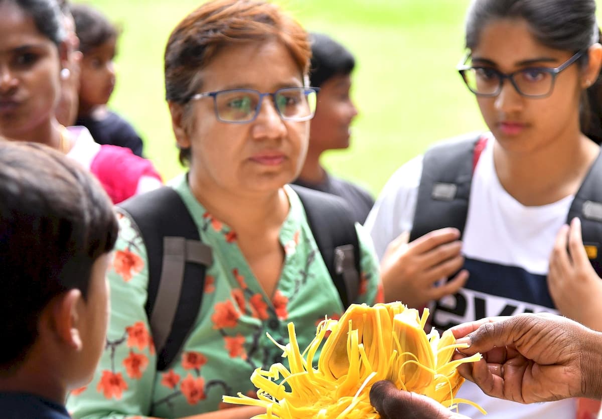 Mango and Jackfruit Mela