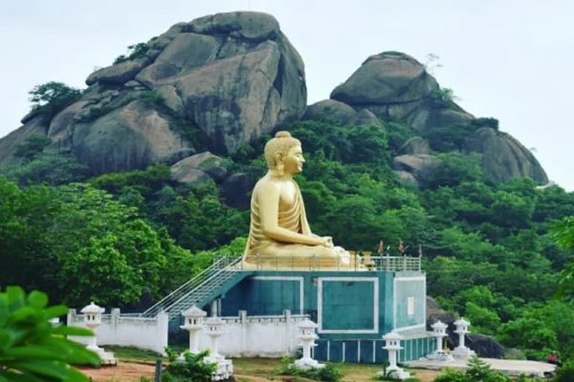 Buddha Purnima 2024 - Rajnandgaon Buddha center