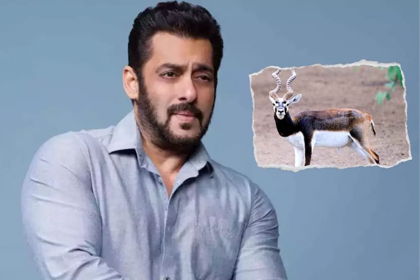 salman khan blackbuck case