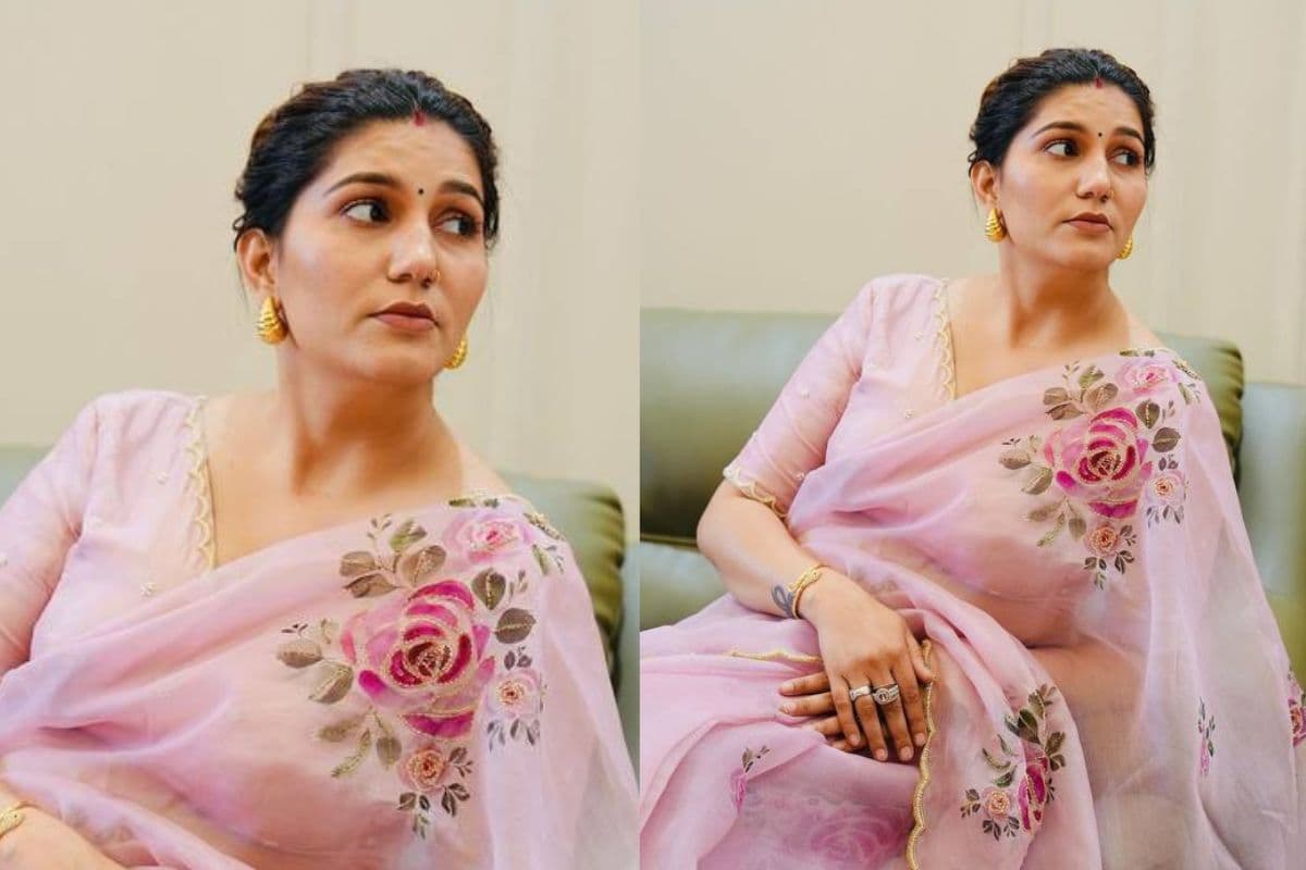 sapna choudhary in pink saree pic