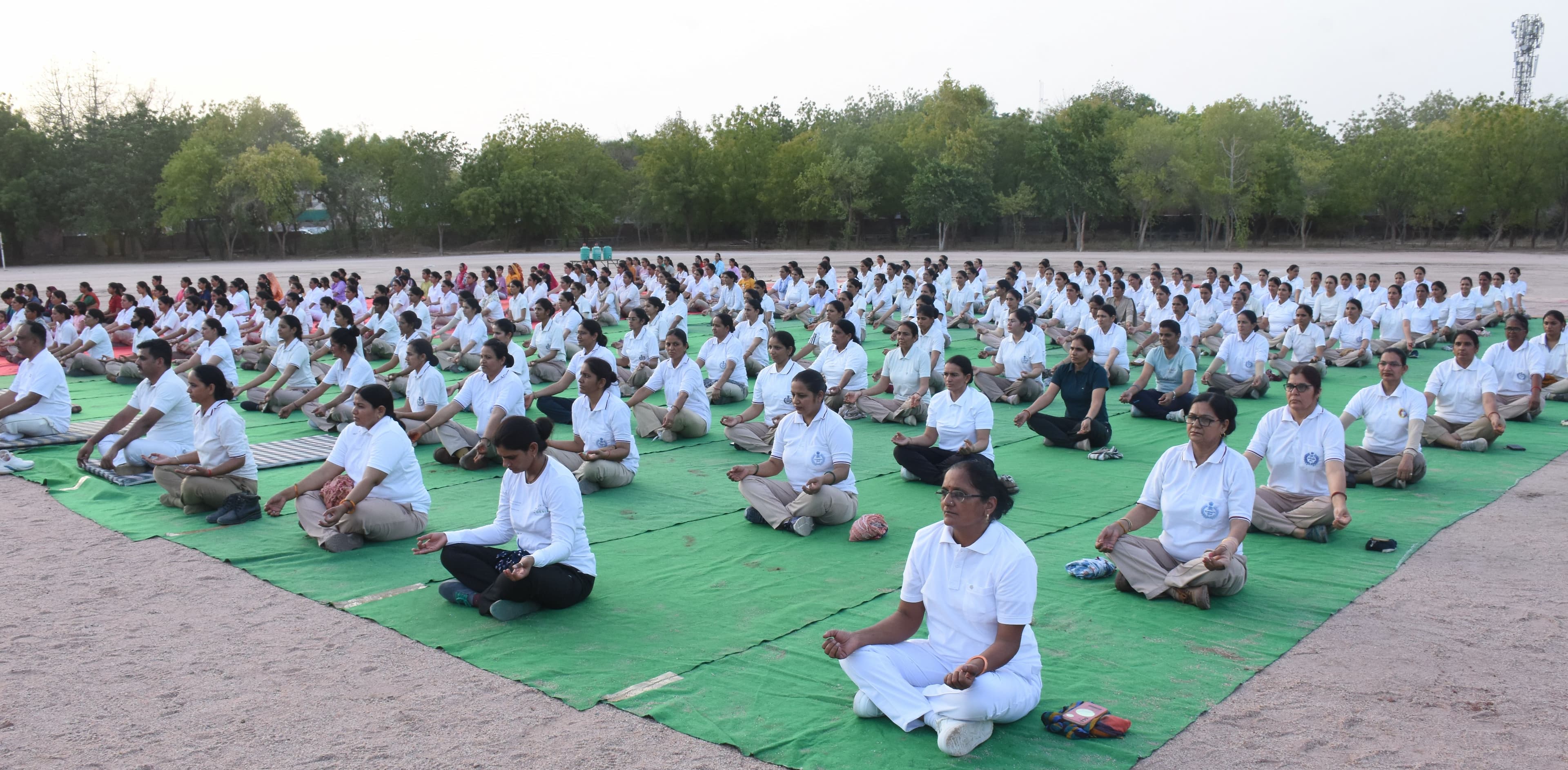 yoga day