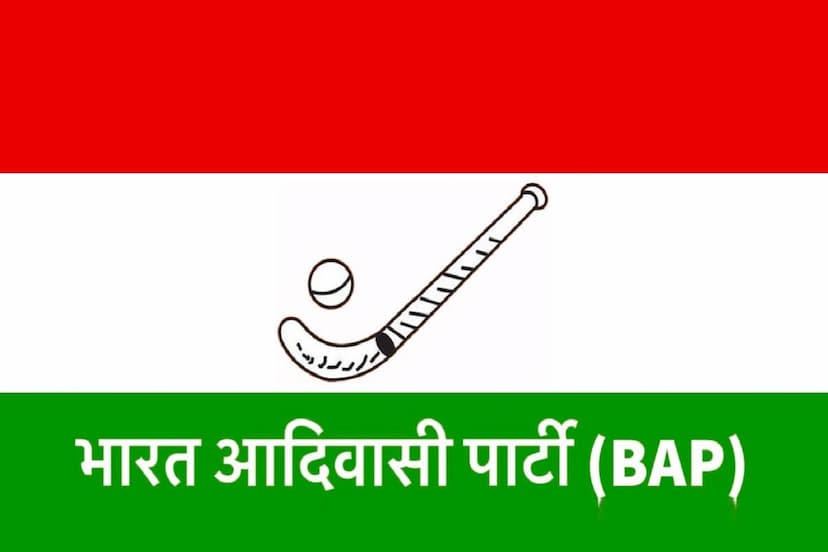 BAP Big Decision Founder Members and 7 Member suspended from Organization order issued by Mohanlal Roat