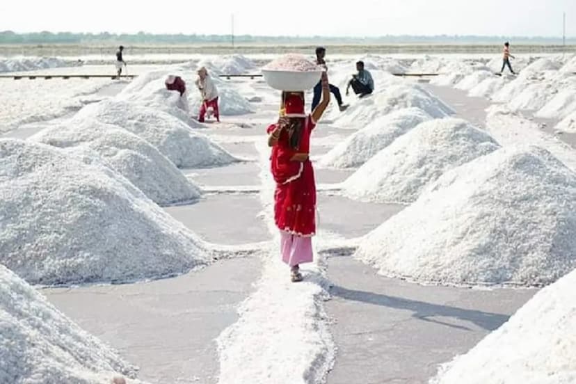 Rajasthan Salt Producing Traders Bumper Profit workers faces blossomed You Shocked know Reason