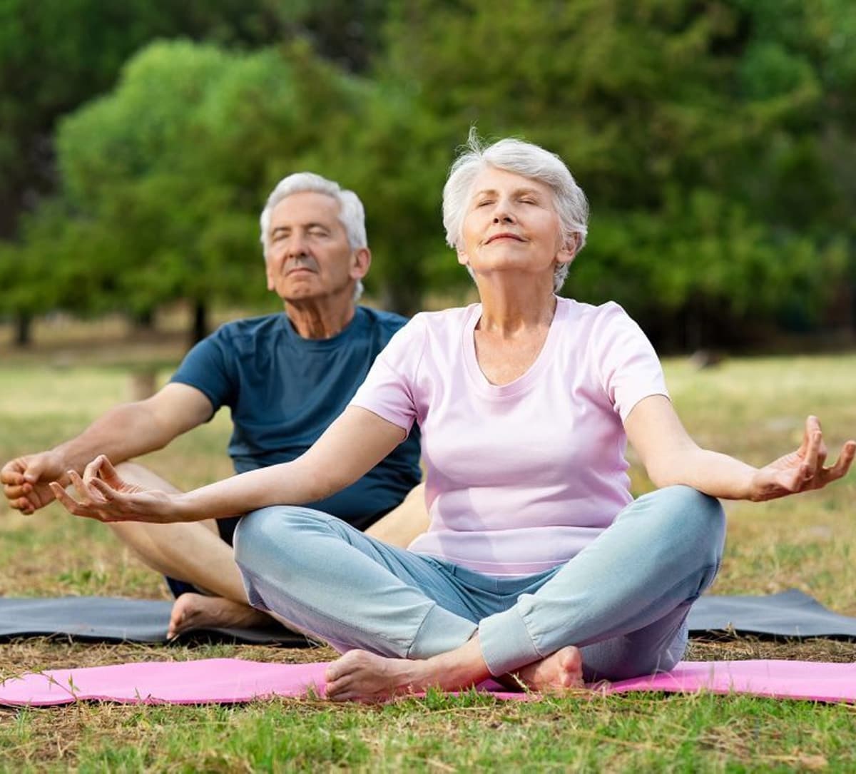 Yoga for the elderly