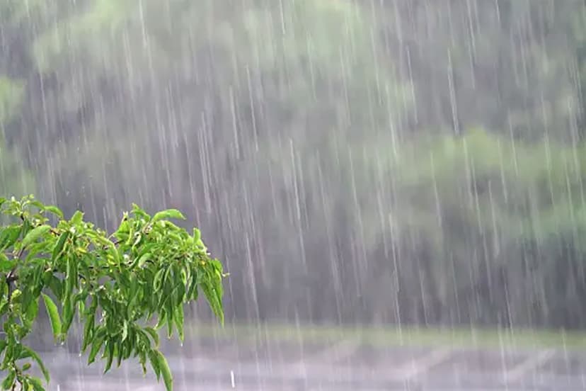Monsoon Rains Bring Relief to Bundelkhand Farmers Rejoice, बुंदेलखंड में बारिश ने दी राहत, ललितपुर में 21.8 तो झांसी में 7.8 मिलीमीटर बारिश, किसानों के लिए खुशखबरी!