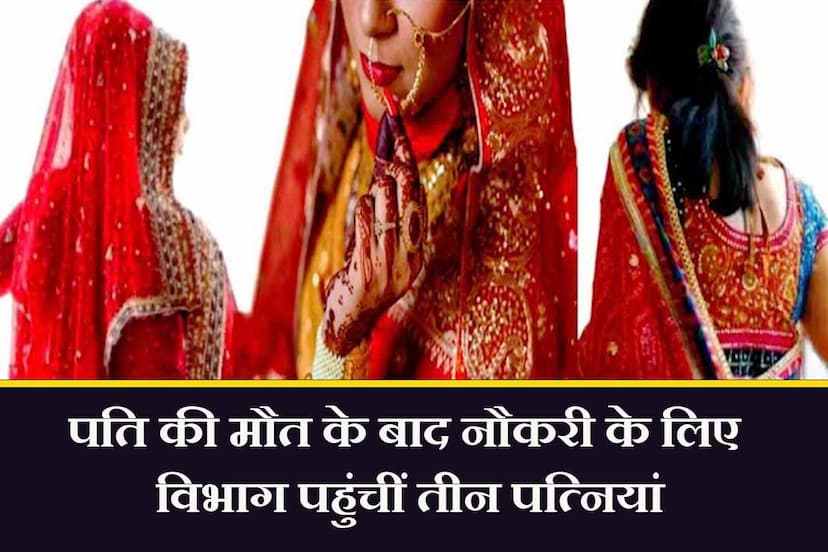 Three wives and one husband fight for compassionate job, तीन पत्नियां, एक पति: अनुकंपा नौकरी के लिए झगड़ा!