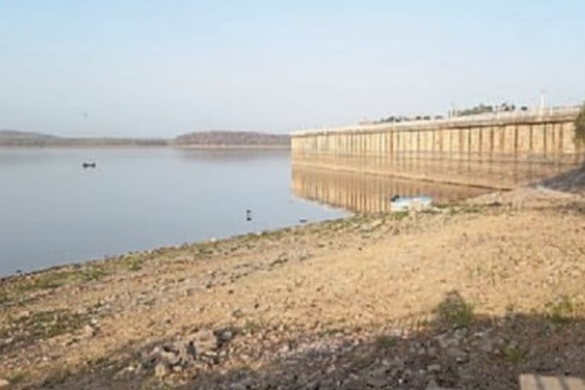 rana pratap sagar dam