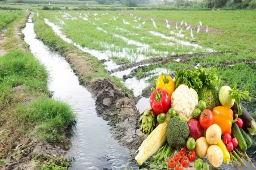 Green vegetables