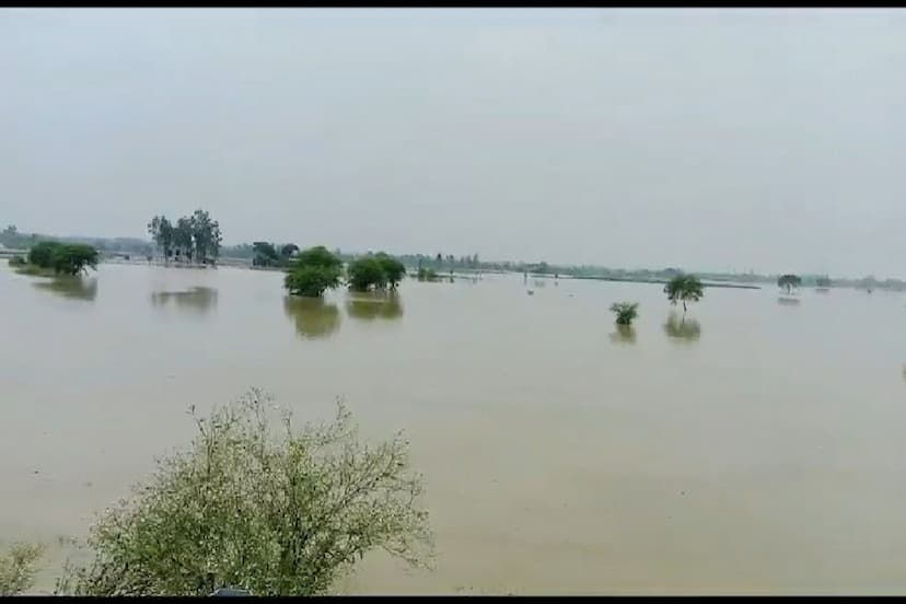 Uttar Pradesh rain and flood