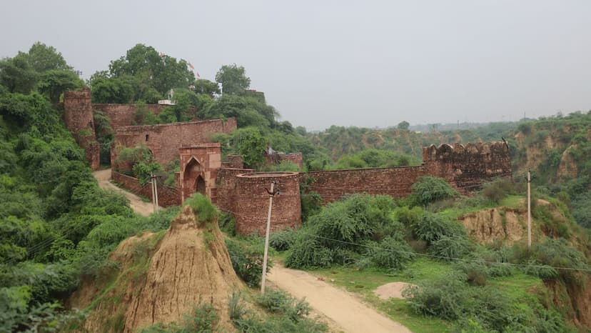 शेरगढ़ किला कागजों तक सिमटा, पर्यटन विकास की बात करने वाले जिम्मेदार ही बन रही बैरी Shergarh Fort is limited to papers, those who talk about tourism development are becoming enemies