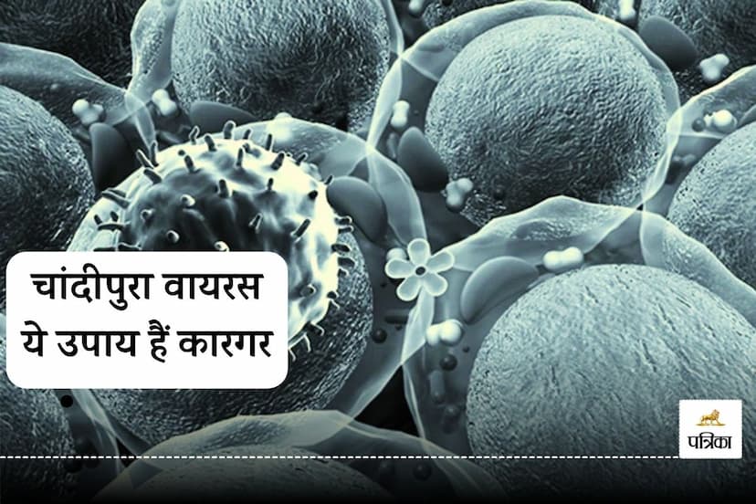 Chandipura Virus